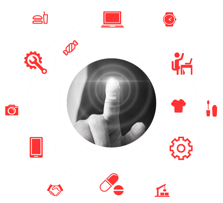 Bhumi World Plug & Play Model